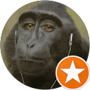 Onni Splitter profile picture